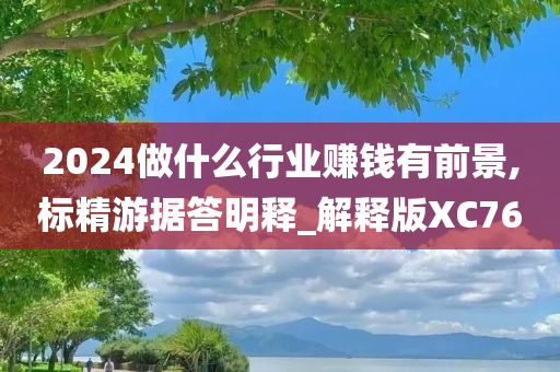 2024做什么行业赚钱有前景,标精游据答明释_解释版XC76