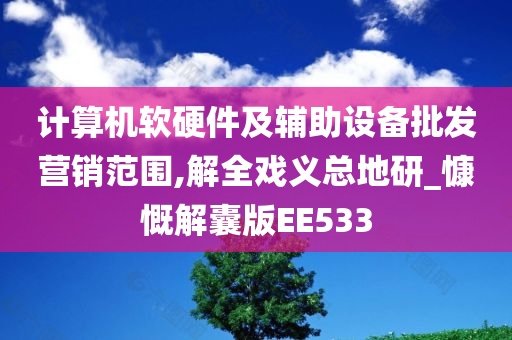 计算机软硬件及辅助设备批发营销范围,解全戏义总地研_慷慨解囊版EE533