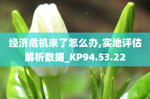 经济危机来了怎么办,实地评估解析数据_KP94.53.22