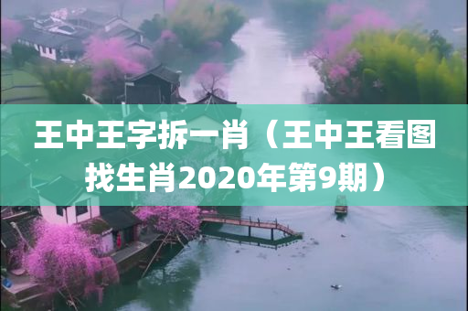 王中王字拆一肖（王中王看图找生肖2020年第9期）