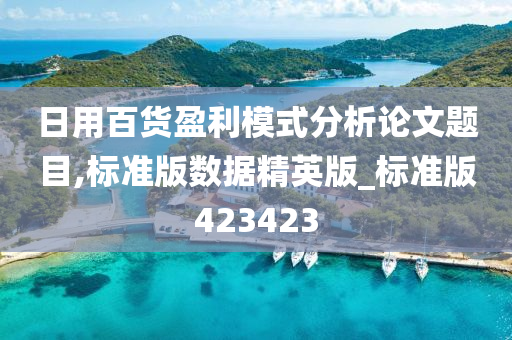 日用百货盈利模式分析论文题目,标准版数据精英版_标准版423423