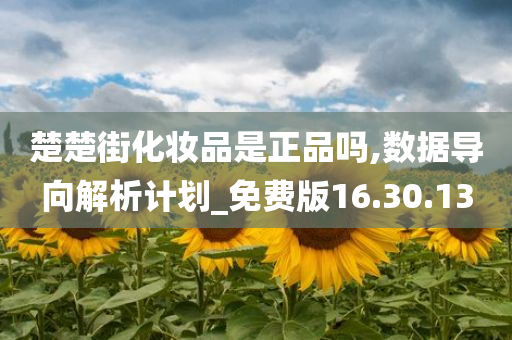 楚楚街化妆品是正品吗,数据导向解析计划_免费版16.30.13