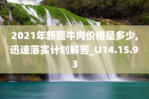 2021年新疆牛肉价格是多少,迅速落实计划解答_U14.15.93