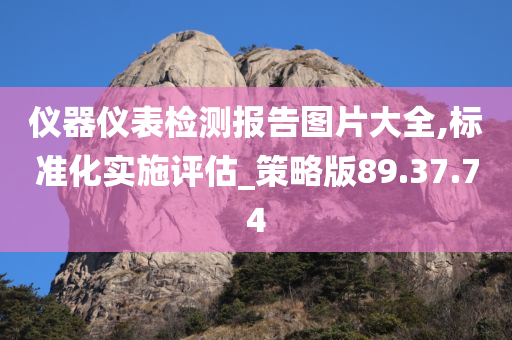 仪器仪表检测报告图片大全,标准化实施评估_策略版89.37.74