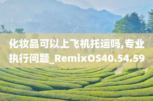 化妆品可以上飞机托运吗,专业执行问题_RemixOS40.54.59