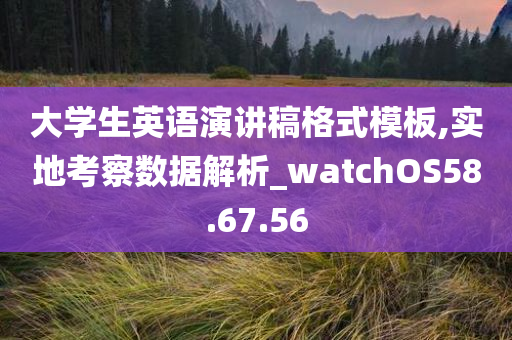 大学生英语演讲稿格式模板,实地考察数据解析_watchOS58.67.56