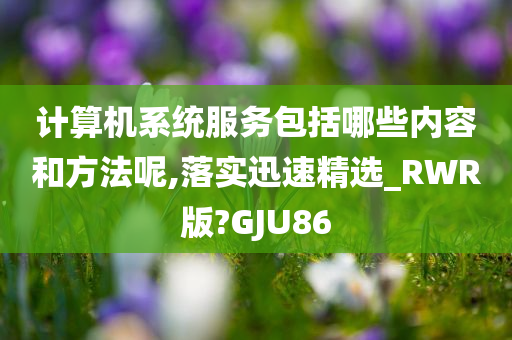 计算机系统服务包括哪些内容和方法呢,落实迅速精选_RWR版?GJU86