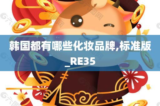 韩国都有哪些化妆品牌,标准版_RE35