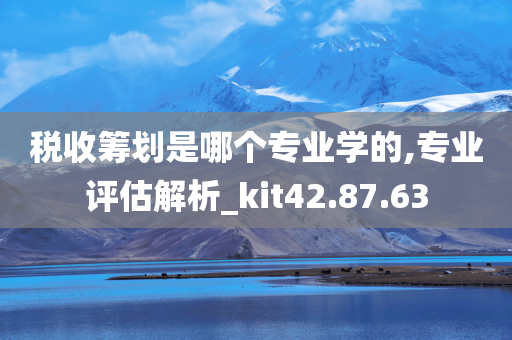 税收筹划是哪个专业学的,专业评估解析_kit42.87.63