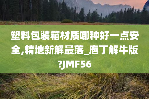 塑料包装箱材质哪种好一点安全,精地新解最落_庖丁解牛版?JMF56