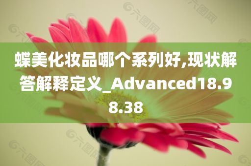 蝶美化妆品哪个系列好,现状解答解释定义_Advanced18.98.38