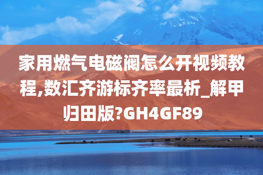 家用燃气电磁阀怎么开视频教程,数汇齐游标齐率最析_解甲归田版?GH4GF89