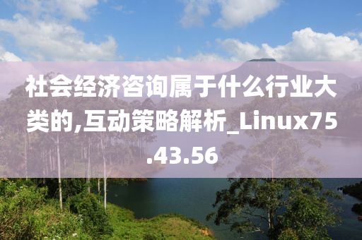 社会经济咨询属于什么行业大类的,互动策略解析_Linux75.43.56