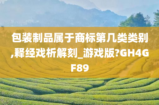 包装制品属于商标第几类类别,释经戏析解刻_游戏版?GH4GF89