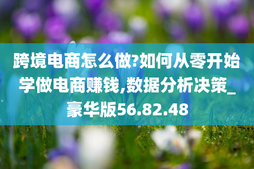 跨境电商怎么做?如何从零开始学做电商赚钱,数据分析决策_豪华版56.82.48