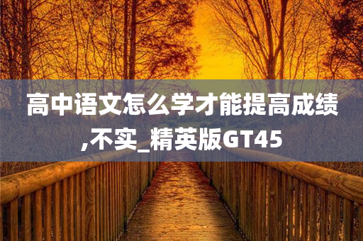 高中语文怎么学才能提高成绩,不实_精英版GT45