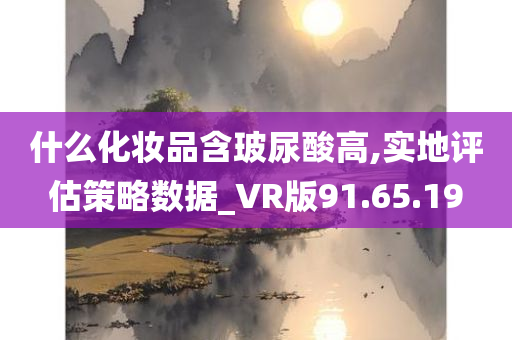 什么化妆品含玻尿酸高,实地评估策略数据_VR版91.65.19