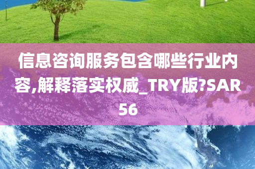 信息咨询服务包含哪些行业内容,解释落实权威_TRY版?SAR56