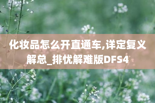 化妆品怎么开直通车,详定复义解总_排忧解难版DFS4