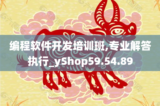 编程软件开发培训班,专业解答执行_yShop59.54.89