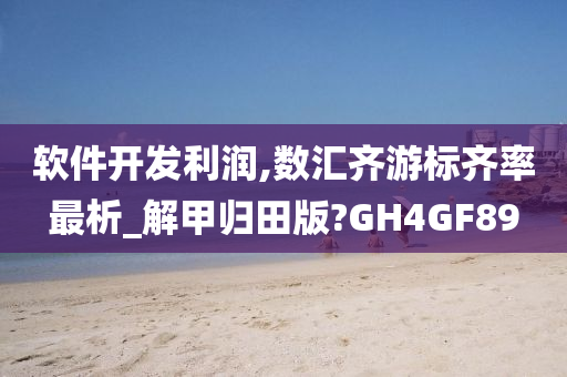 软件开发利润,数汇齐游标齐率最析_解甲归田版?GH4GF89