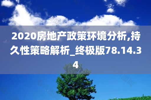 2020房地产政策环境分析,持久性策略解析_终极版78.14.34