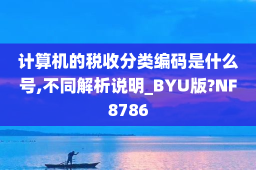 计算机的税收分类编码是什么号,不同解析说明_BYU版?NF8786