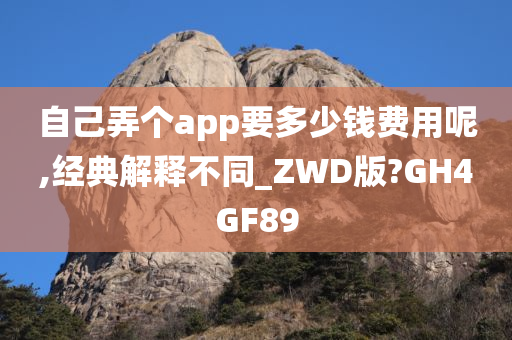 自己弄个app要多少钱费用呢,经典解释不同_ZWD版?GH4GF89