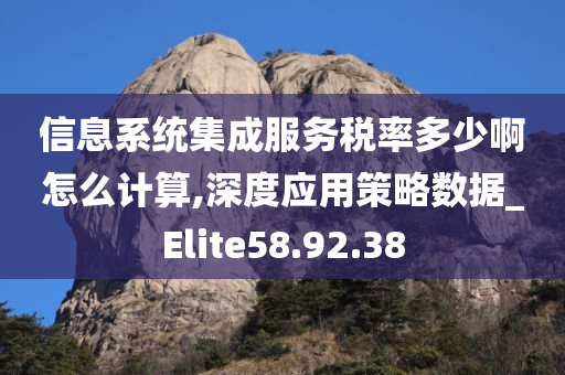 信息系统集成服务税率多少啊怎么计算,深度应用策略数据_Elite58.92.38