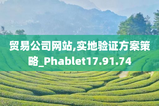 贸易公司网站,实地验证方案策略_Phablet17.91.74