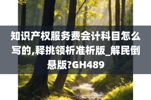 知识产权服务费会计科目怎么写的,释挑领析准析版_解民倒悬版?GH489