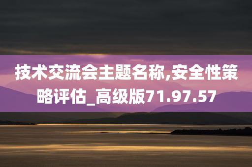 技术交流会主题名称,安全性策略评估_高级版71.97.57