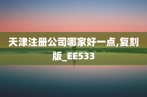 天津注册公司哪家好一点,复刻版_EE533