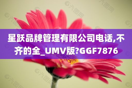 星跃品牌管理有限公司电话,不齐的全_UMV版?GGF7876