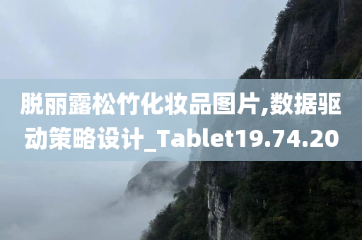 脱丽露松竹化妆品图片,数据驱动策略设计_Tablet19.74.20