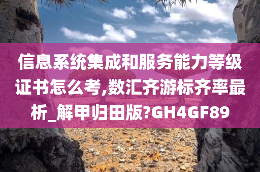 信息系统集成和服务能力等级证书怎么考,数汇齐游标齐率最析_解甲归田版?GH4GF89