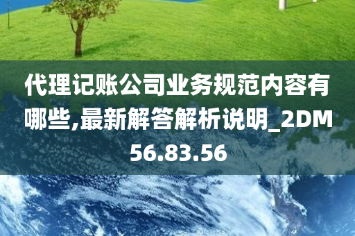 代理记账公司业务规范内容有哪些,最新解答解析说明_2DM56.83.56