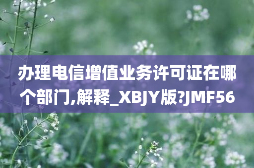 办理电信增值业务许可证在哪个部门,解释_XBJY版?JMF56