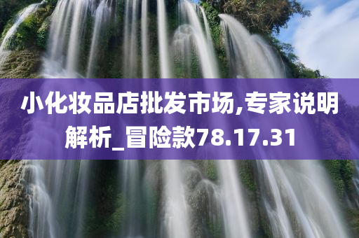 小化妆品店批发市场,专家说明解析_冒险款78.17.31