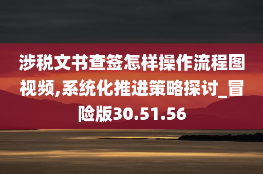 涉税文书查签怎样操作流程图视频,系统化推进策略探讨_冒险版30.51.56