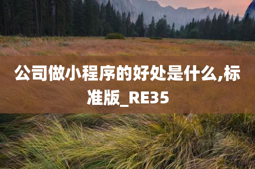 公司做小程序的好处是什么,标准版_RE35