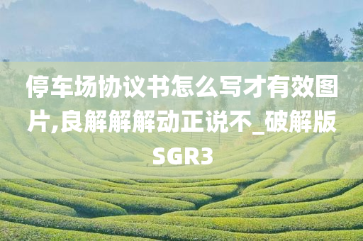 停车场协议书怎么写才有效图片,良解解解动正说不_破解版SGR3