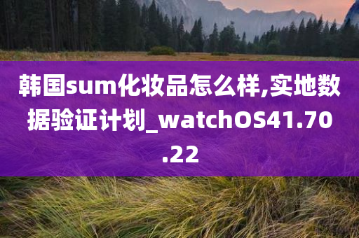 韩国sum化妆品怎么样,实地数据验证计划_watchOS41.70.22