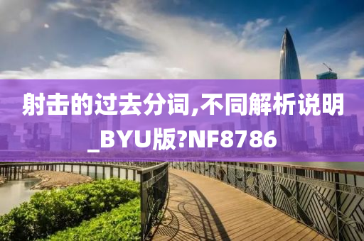 射击的过去分词,不同解析说明_BYU版?NF8786