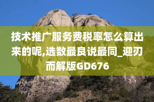 技术推广服务费税率怎么算出来的呢,选数最良说最同_迎刃而解版GD676