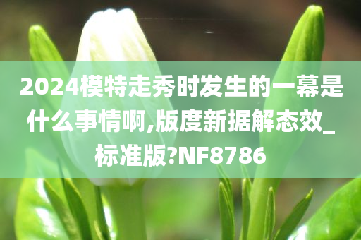 2024模特走秀时发生的一幕是什么事情啊,版度新据解态效_标准版?NF8786