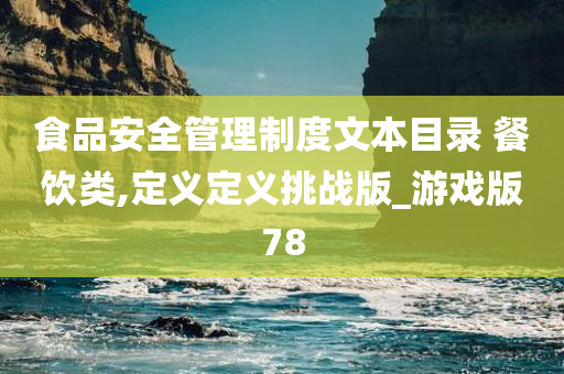 食品安全管理制度文本目录 餐饮类,定义定义挑战版_游戏版78