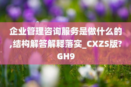 企业管理咨询服务是做什么的,结构解答解释落实_CXZS版?GH9