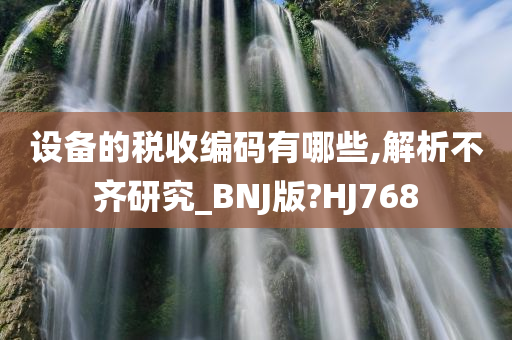 设备的税收编码有哪些,解析不齐研究_BNJ版?HJ768