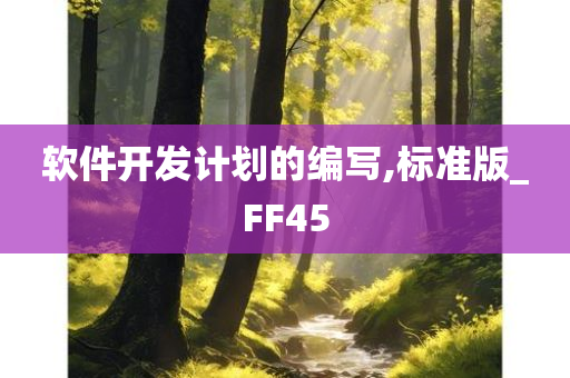 软件开发计划的编写,标准版_FF45